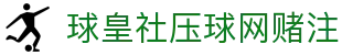 买球网球队数据查询|阵容状态、近期战绩与比赛结果一站查看